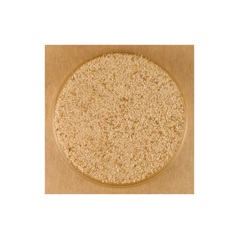 Celery Salt - 10 lbs Bulk