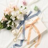 MORSUNBELA Chiffon Champagne Silk Ribbon for Gift Wrapping, Wedding, Birthday