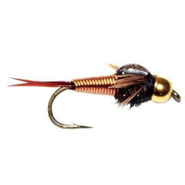 The Fly Fishing Place Tungsten Bead Head Copper John Nymph Fly Fishing Flies - Set of 6 Flies Hook Size 18
