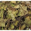 Black Walnut Leaves 4 Ounces-Bulk Bag-1/4 Pound-Juglans nigra-Mexican