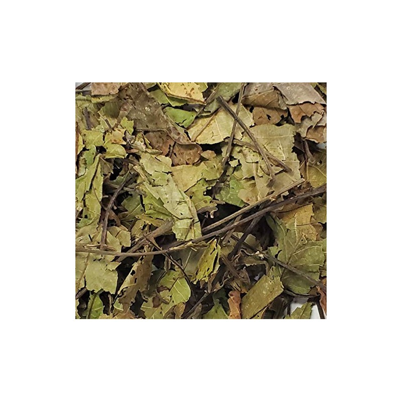 Black Walnut Leaves 4 Ounces-Bulk Bag-1/4 Pound-Juglans nigra-Mexican