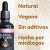 3 Maestros (Cordyceps, Reishi y Melena de Leon) Suplemento en