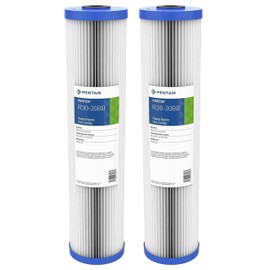 Pentair Pentek R30-20BB Big Blue Sediment Water Filter, Whole House Pleated Polyester Filter Cartridge, 20" x 4.5", 30 Micron, Pack of 2