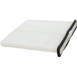 Ecogard XC10189 Filtro de aire de cabina premium para coche