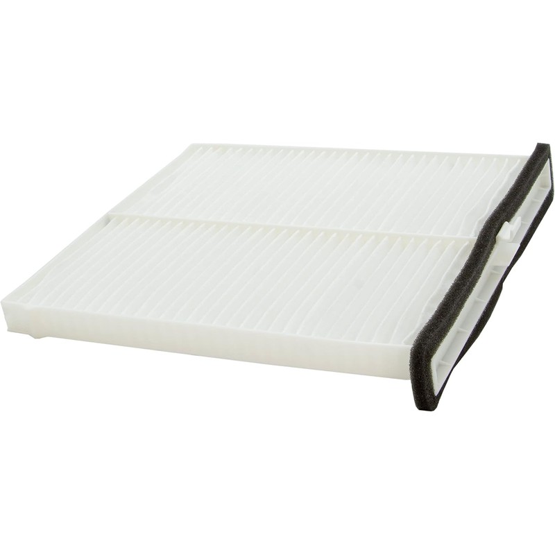 Ecogard XC10189 Filtro de aire de cabina premium para coche