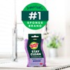 Scotch-Brite Stay Clean Scrubber Pads, 2-Pack, Non-Scratch Dish Sponges for