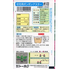 Tohoku Co., Ltd. 00090 Cut Flower Pom Pom Aster