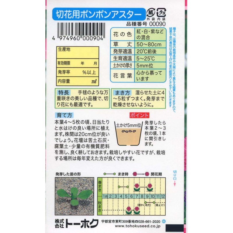 Tohoku Co., Ltd. 00090 Cut Flower Pom Pom Aster