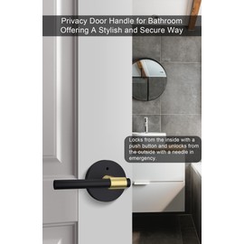 goldenwarm 1 Pack Black and Gold Interior Door Handle, Privacy Lever Door Handle, Matte Black Interior Door Lever Pack, Black and Gold Door Handles Interior for Bedroom, Bathroom