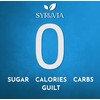 Syruvia Sugar Free Pumpkin Spice Coffee Syrup, Flavored Syrup for