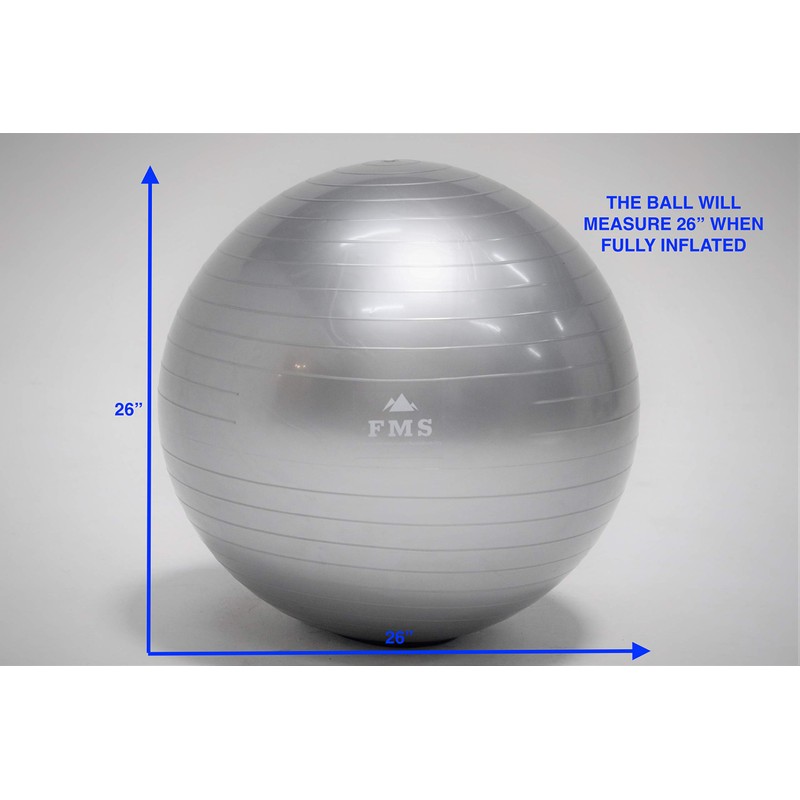FIMISU 65cm Fitness Stability Ball • Yoga Balance Ball •