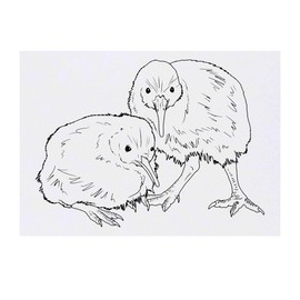 'Kiwi Birds' Temporary Tattoo - Water Resistant, Skin-Safe, Non-Toxic Transfer (TO00079751)