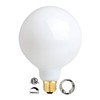CRLight 12W Dimmable LED Large Globe Bulb 5000K Daylight White