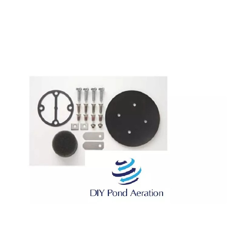 THOMAS Compressor Vacuum Pump Diaphragm Rebuild Service Kit 107CDC20 107CAB18