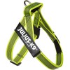 Julius-K9 Colour & Grey Webbing Harness