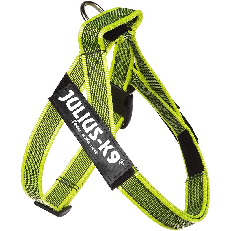 Julius-K9 Colour & Grey Webbing Harness