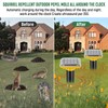 Pestvanish Mole Repellent Solar Powered,2025 Upgraded Gopher Repellent Ultrasonic Solar