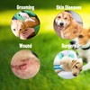 Soft Dog Cone Collar for Dogs After Surgery, Buster Collar,