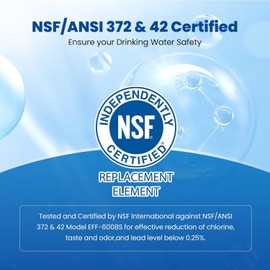 Waterspecialist EDR3RXD1 Water Filter, Replacement for 4396841, Everydrop® Filter 3, 4396710, Kenmore® 46-9083, 46-9030, WS608 Refrigerator Water Filter, 2 Filters
