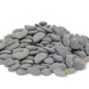 45 LB Mexican Beach Pebbles - 1-2 Inch Decorative River