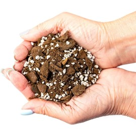 GARDENERA Palm Tree Potting Mix - The Ultimate Soil for Strong and Healthy Palms - Top Choice for Palm Tree Growers [1 Quart Bag]