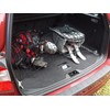 TrunkExpert Boot Net Compatible with Hyundai i20 III Hatchback 5