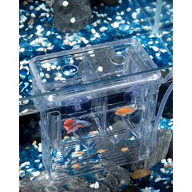Pawfly Aquarium Fish Breeding Box Transparent Plastic Breeder Box for Fish Tank Fry Hatchery Incubator Hatching for Shrimp Betta Medium Isolation for Aggressive Fish Guppy