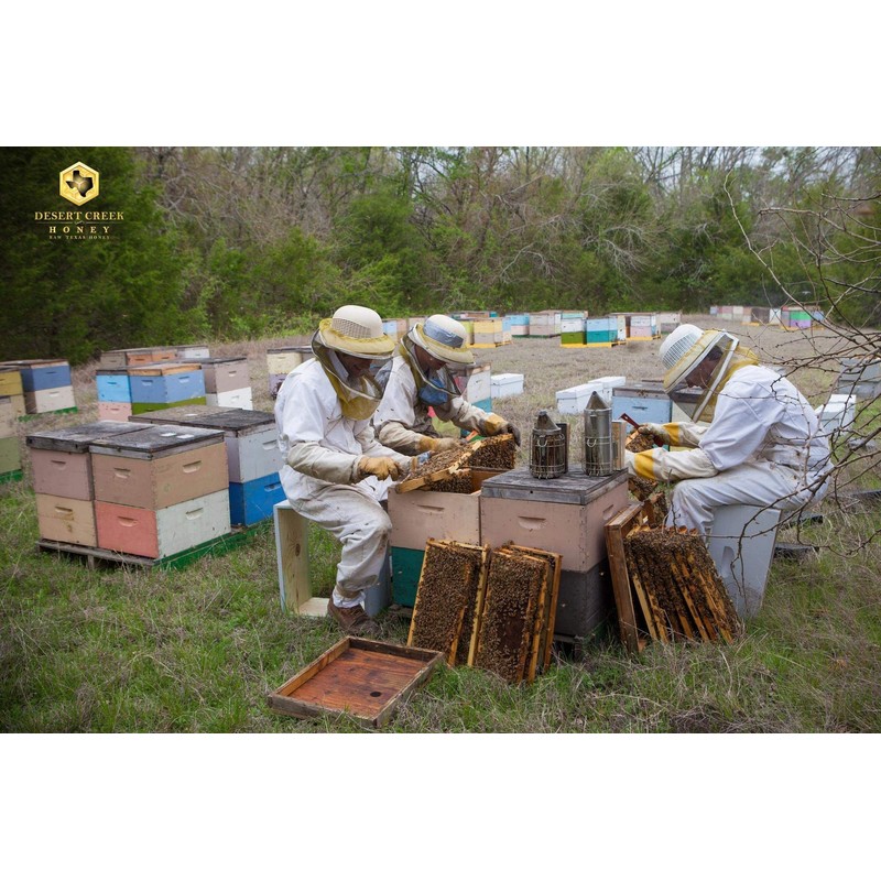 Desert Creek Honey, Honey Bears Containing Raw, Unfiltered, Unpasteurized Texas
