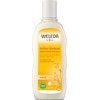 Weleda Organic Oats Restorative Shampoo (1 x 190 ml)