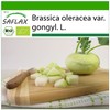 SAFLAX - Organic - Kohlrabi - Super Melting - 20
