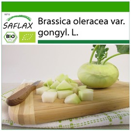 SAFLAX - Organic - Kohlrabi - Super Melting - 20 Seeds - With Germ-free Growing Substrate - Brassica oleracea