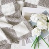WRENSONGE Checkered Throw Blanket, Light Grey Microfiber Soft Cozy Fluffy