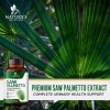 Saw Palmetto Apoyo A Prostata 1000mg Con 120 Caps Hecho