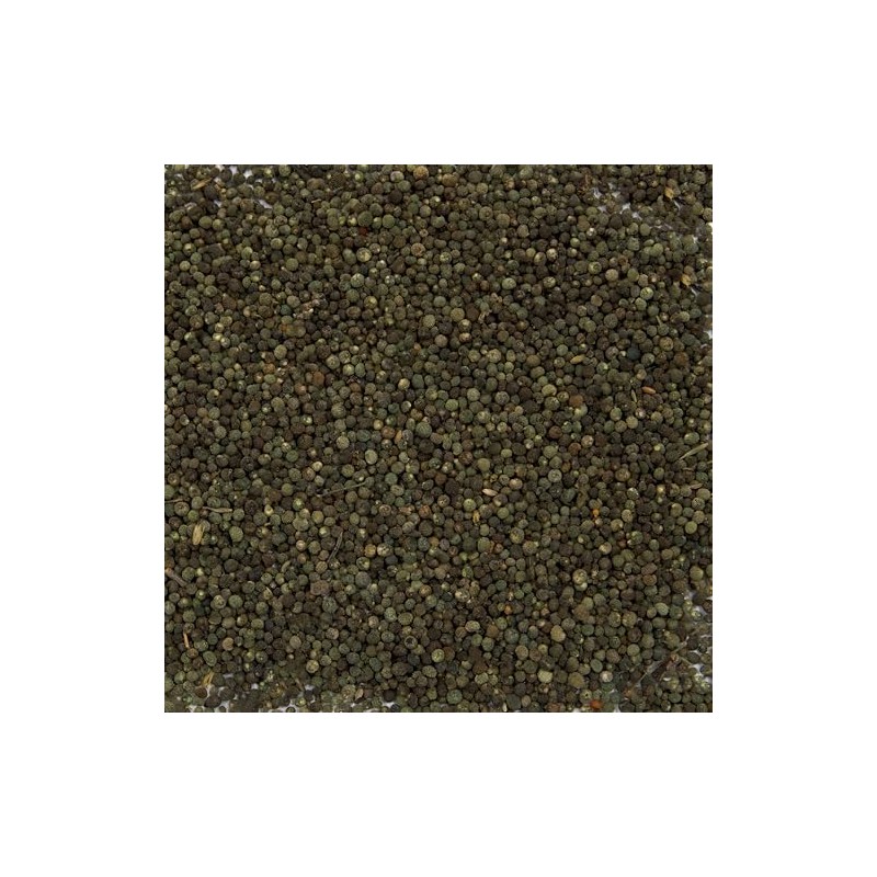 Cleavers Seeds (Galium aparine) Packet of 20
