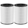 2 Pack AP-T45 AP-T40FL HEPA Replacement Filter Compatible with 1461901