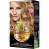 Garnier Olia Ammonia Free Permanent Hair Color, 100% Gray Coverage