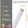 Diodesy- T8 Fluorescent Tube Light Bulb 18 Inch 15 Watts