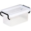 Izumi Kasei Made in Japan Safety Box Type 1 Clear