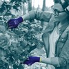 NITREX 270NF 10 Pairs of Gardening Gloves, Sandy Nitrile Palm