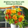 Outsidepride Jewel Mix Nasturtium Seeds - 5 lbs. Annual, Easy