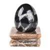 AMOYSTONE Single Healing Crystal Rock Egg Orthoceras Stone Large with