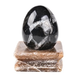 AMOYSTONE Single Healing Crystal Rock Egg Orthoceras Stone Large with Base, Home Decor Collect, Height 3.5-4"