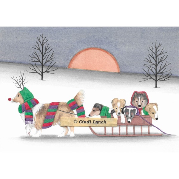 Lynch 12 Christmas cards: Sheltie (shetland Sheepdog) family going for