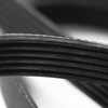 QUARKZMAN 6PK1360 V-Ribbed Belt, 6 Ribs, 1360 mm Length x