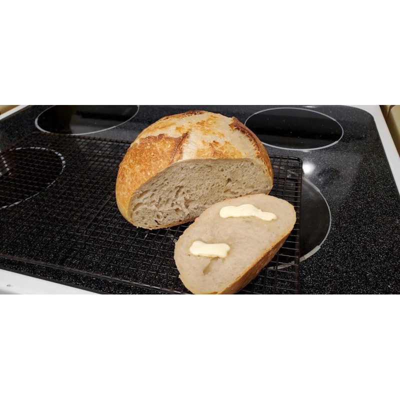 Heritage Sour SOURDOUGH STARTER DEHYDRATED 3rd Generation ITALIAN - 15