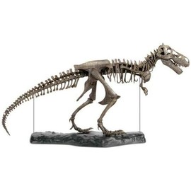 Discovery 3D Puzzles Dinosaur T-Rex 60-Piece Discovery kids