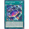 Yu-Gi-Oh! - Cynet Ritual - MP19-EN113 - Common - 1st Edition - 2019 Gold Sarcophagus Tin Mega Pack