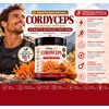Hongo Cordyceps - Extracto Puro en Polvo 100 g -