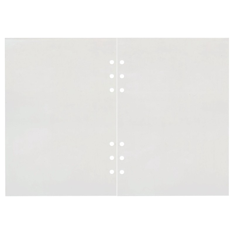 レイメイ藤井 ダヴィンチ リフィル P.Pポケット A5サイズ DAR320