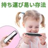East top Harmonica Beginner, Blues Harmonica for Kids, Stainless Steel